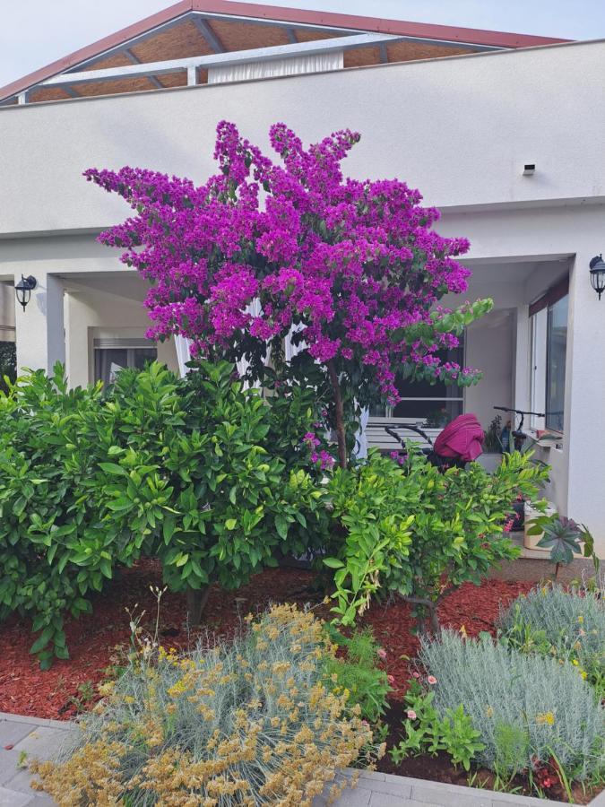 Apartment Noa'S Garden Bibinje Dış mekan fotoğraf